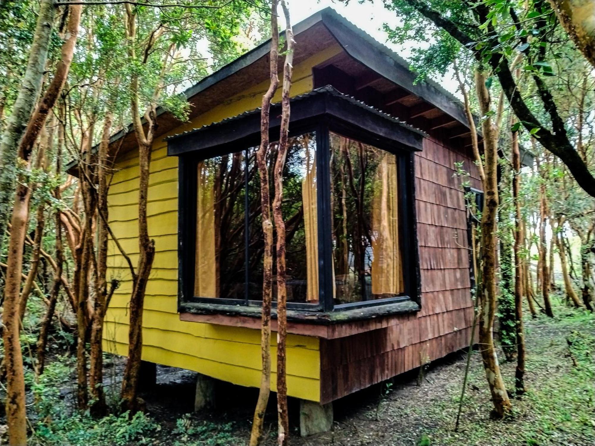 Hostal & Cabanas Luna Del Sur Cucao Exteriér fotografie