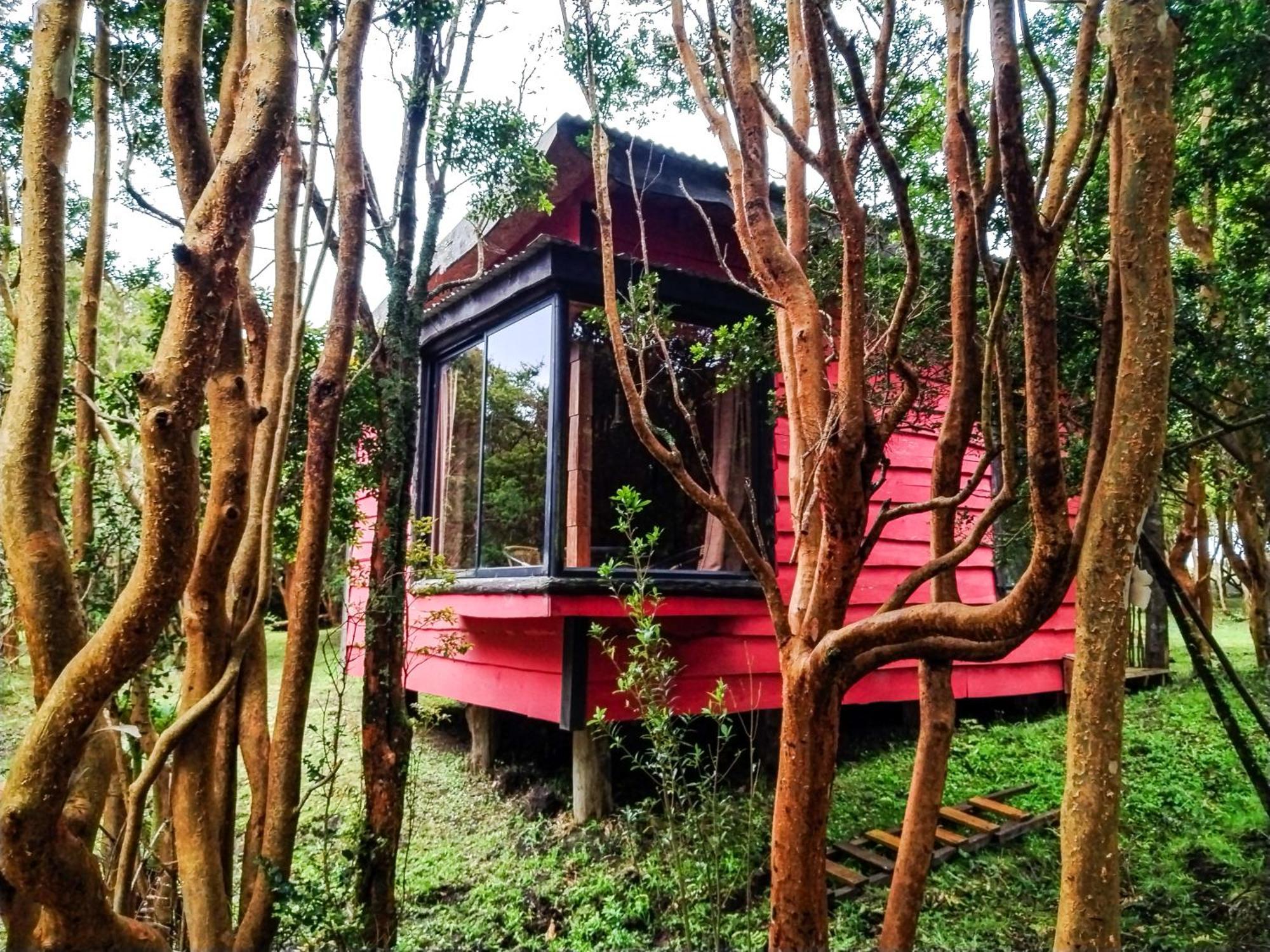 Hostal & Cabanas Luna Del Sur Cucao Exteriér fotografie